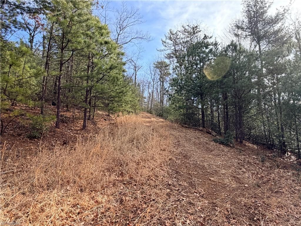 Single Family Residence at Lots 207 & 220 Maple Valley Lane, Purlear NC 28665, Purlear, photo 15 of 39