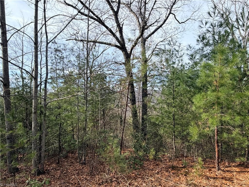 Single Family Residence at Lots 207 & 220 Maple Valley Lane, Purlear NC 28665, Purlear, photo 19 of 39