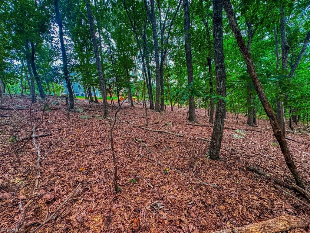 Single Family Residence at 1996 Sierra Trace Road, Denton NC 27239, Denton, photo 12 of 39