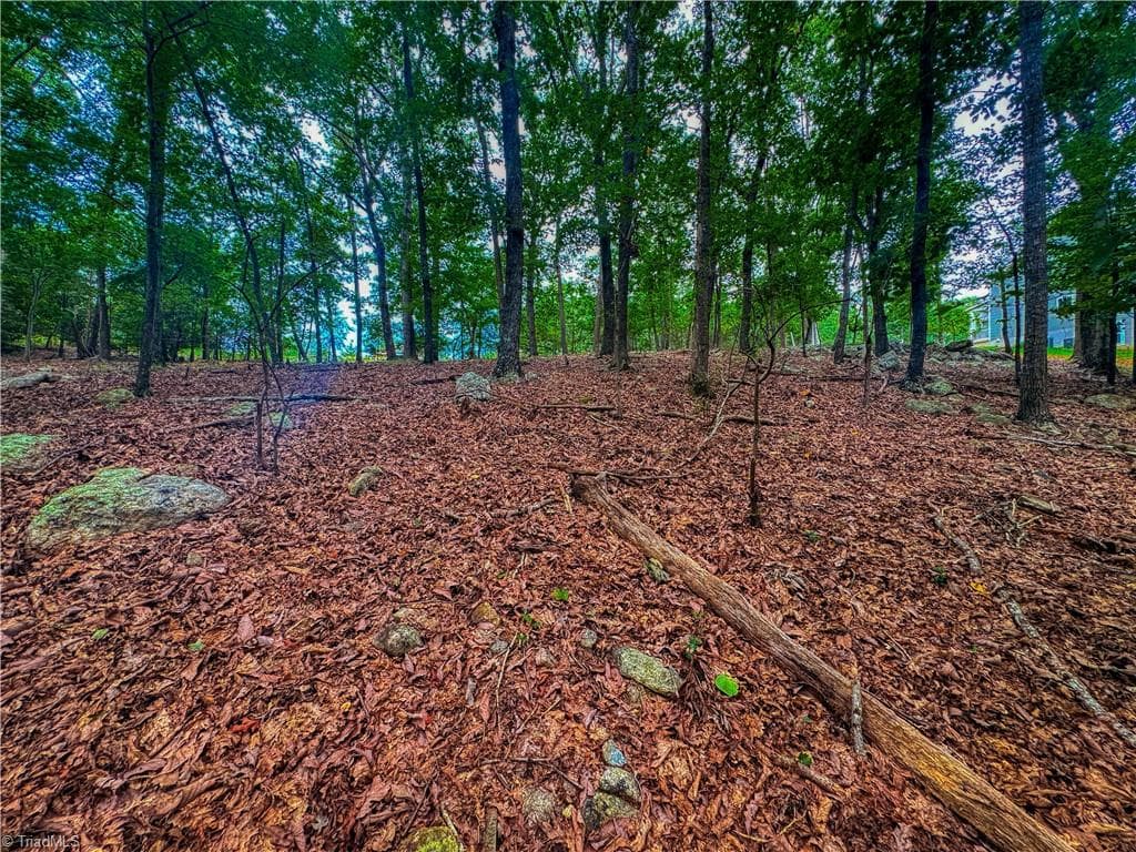 Single Family Residence at 1996 Sierra Trace Road, Denton NC 27239, Denton, photo 15 of 39
