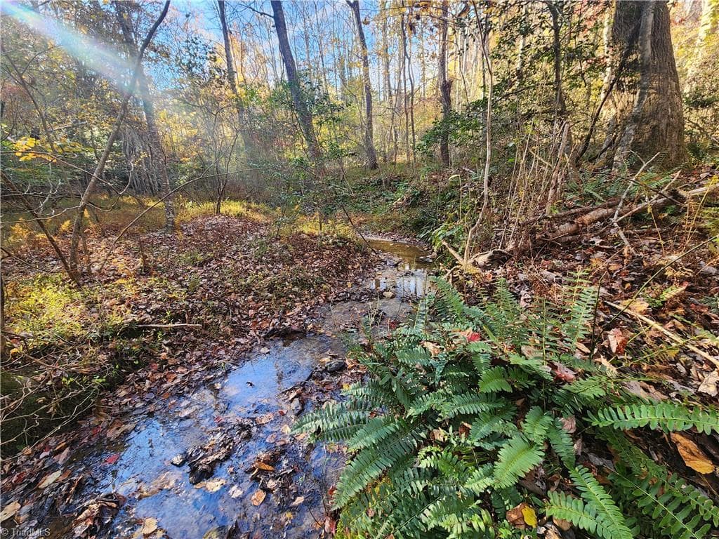 tbd Sable Avenue, Mount Airy NC 27030