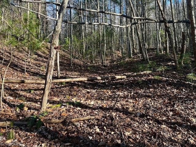Single Family Residence at TBD S NC Highway 16, Moravian Falls NC 28654, Moravian Falls, photo 25 of 44