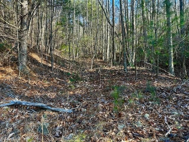 Single Family Residence at TBD S NC Highway 16, Moravian Falls NC 28654, Moravian Falls, photo 23 of 44