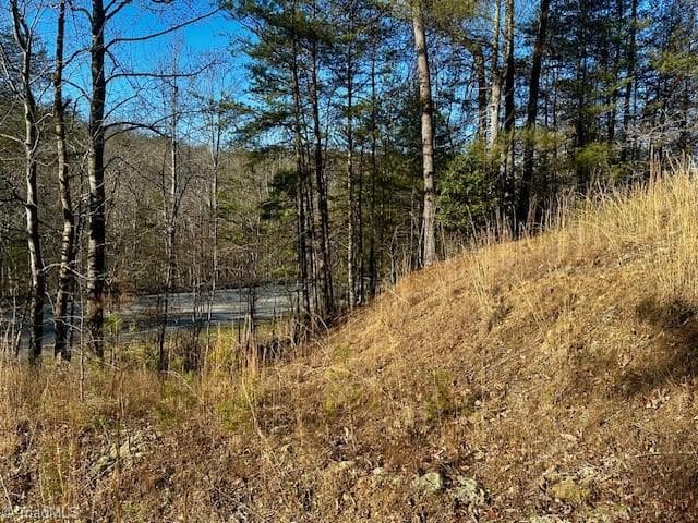 Single Family Residence at TBD S NC Highway 16, Moravian Falls NC 28654, Moravian Falls, photo 13 of 44