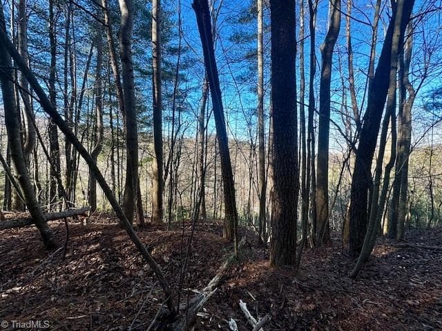 Single Family Residence at TBD S NC Highway 16, Moravian Falls NC 28654, Moravian Falls, photo 19 of 44