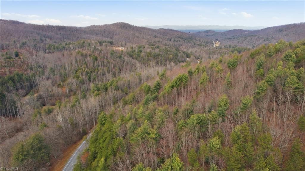 Single Family Residence at TBD S NC Highway 16, Moravian Falls NC 28654, Moravian Falls, photo 35 of 44