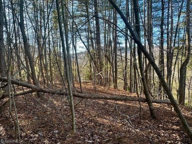 Single Family Residence at TBD S NC Highway 16, Moravian Falls NC 28654, Moravian Falls, photo 7 of 44