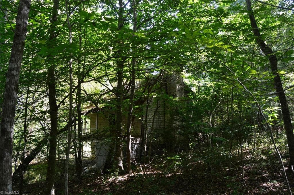 Single Family Residence at Tract C NC Highway 89 W # C, Danbury NC 27016, photo 30 of 35