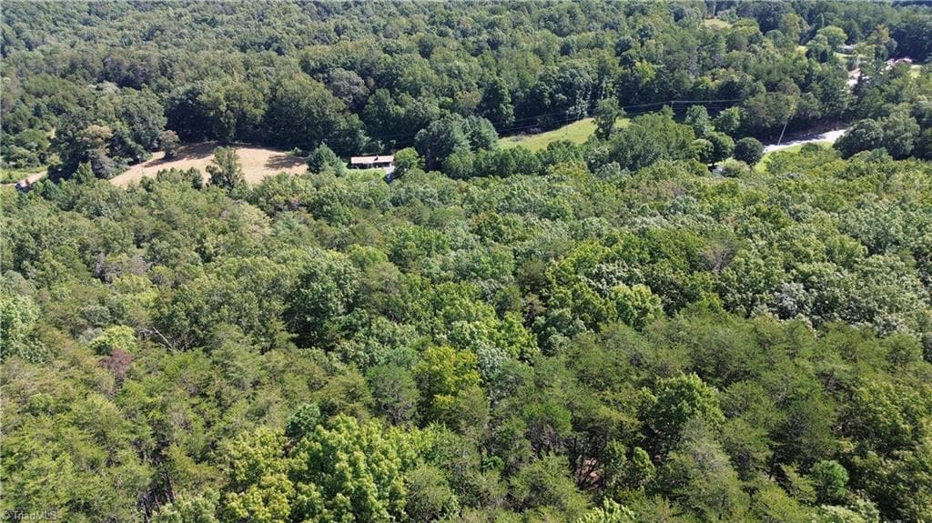 Single Family Residence at Tract C NC Highway 89 W # C, Danbury NC 27016, photo 10 of 35