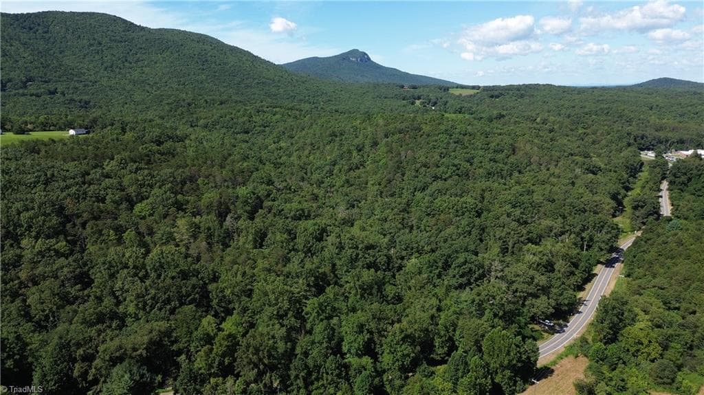 Single Family Residence at Tract C NC Highway 89 W # C, Danbury NC 27016, photo 11 of 35