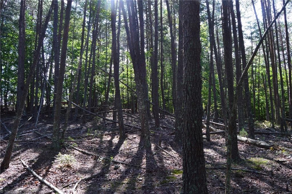 Remarks at Tract D Hanging Rock Forest Road # D, Danbury NC 27016, photo 12 of 24