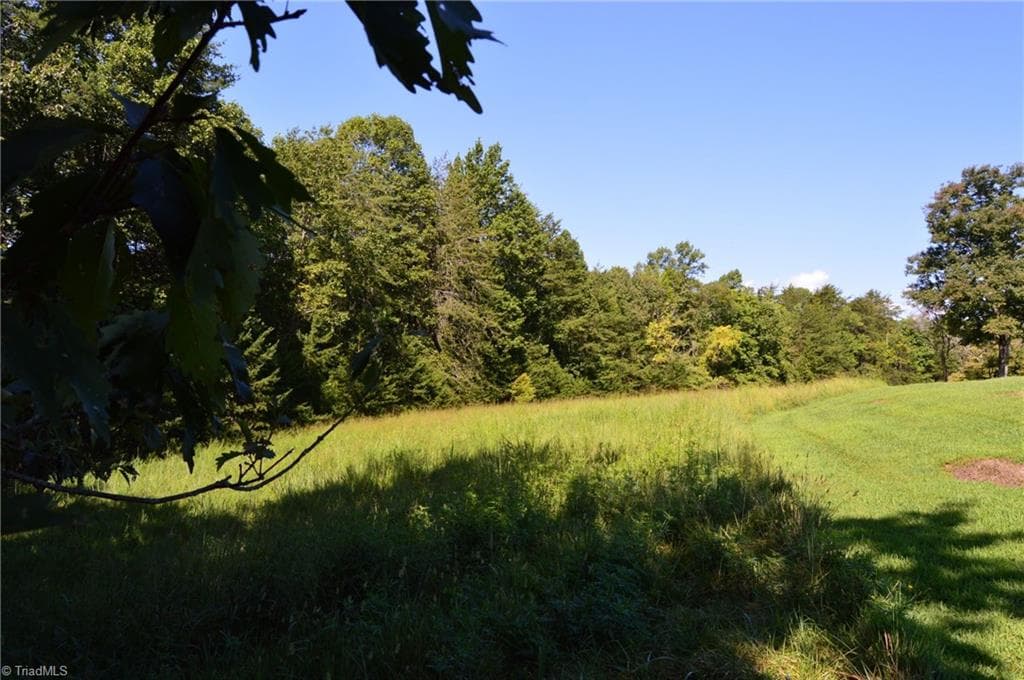 Tract D Hanging Rock Forest Road # D, Danbury NC 27016