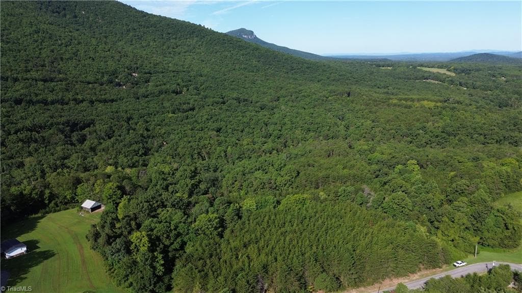 Remarks at Tract D Hanging Rock Forest Road # D, Danbury NC 27016, photo 20 of 24