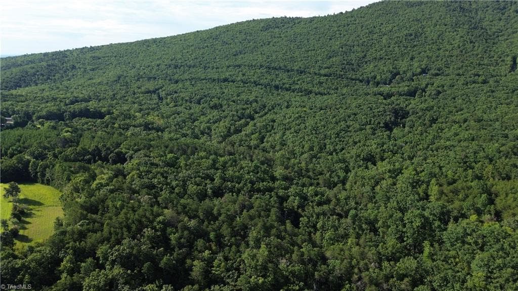 Remarks at Tract D Hanging Rock Forest Road # D, Danbury NC 27016, photo 18 of 24