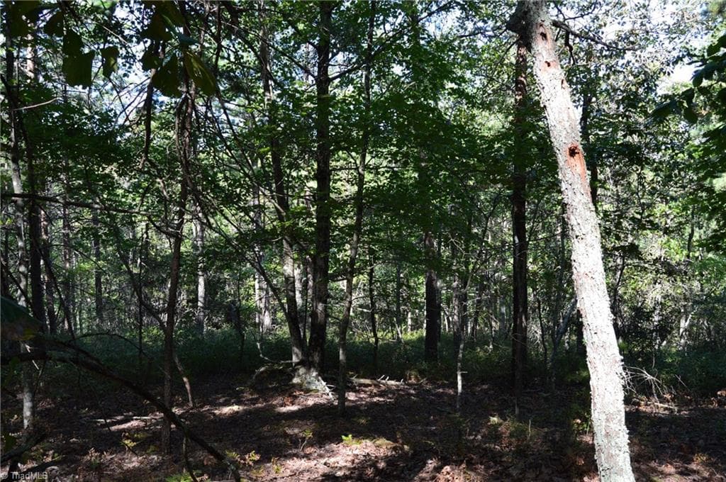 Remarks at Tract D Hanging Rock Forest Road # D, Danbury NC 27016, photo 11 of 24