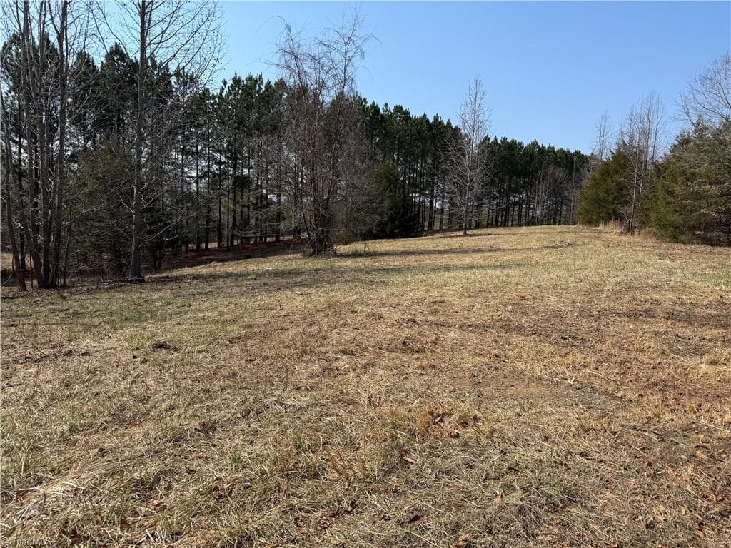 Unimproved Land at 00 Lake Farm Road, Yanceyville NC 27379, photo 3 of 9