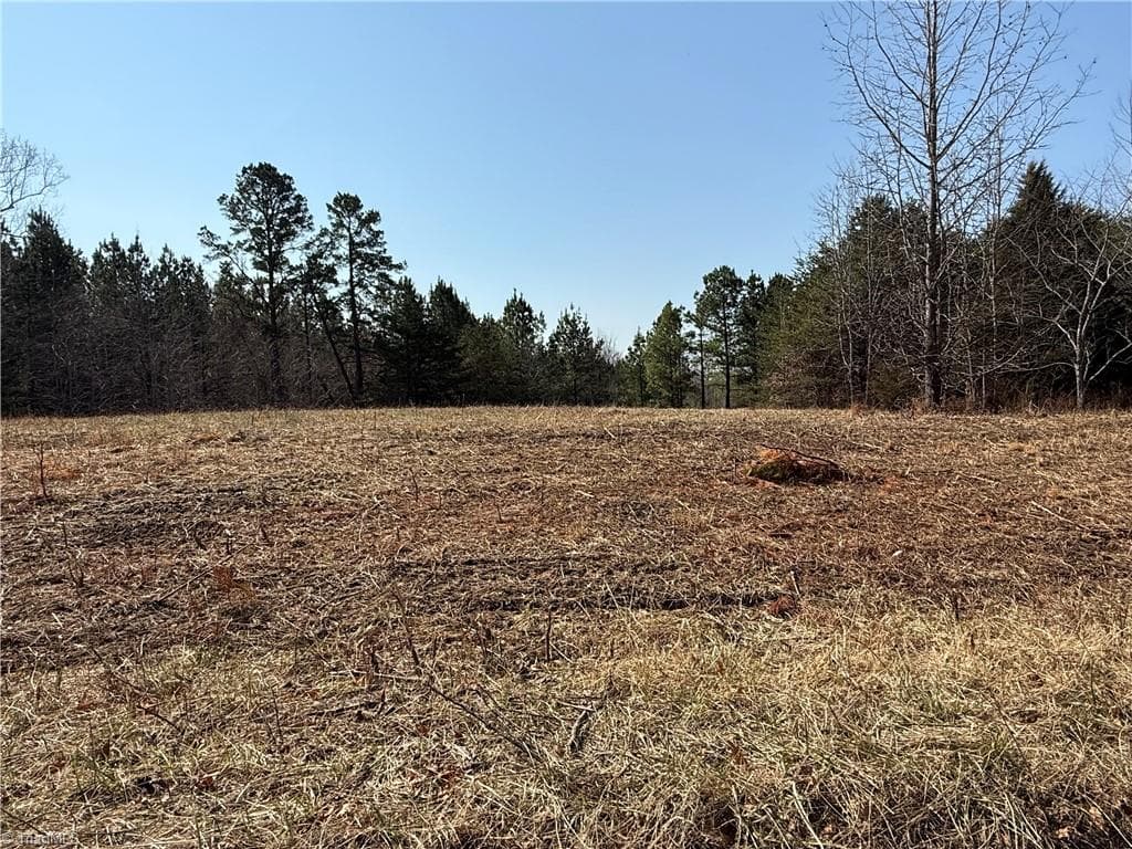 Unimproved Land at 00 Lake Farm Road, Yanceyville NC 27379, photo 8 of 9