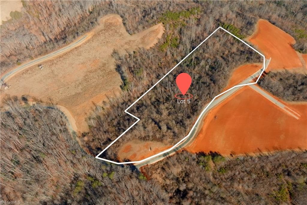 Unimproved Land at 5 Roby Fulk Road, Pinnacle NC 27043, photo 2 of 28