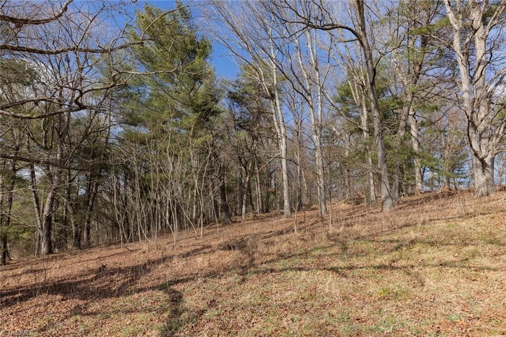 Single Family Residence at Lot 16 Canterbury Drive, North Wilkesboro NC 28659, North Wilkesboro, photo 24 of 45