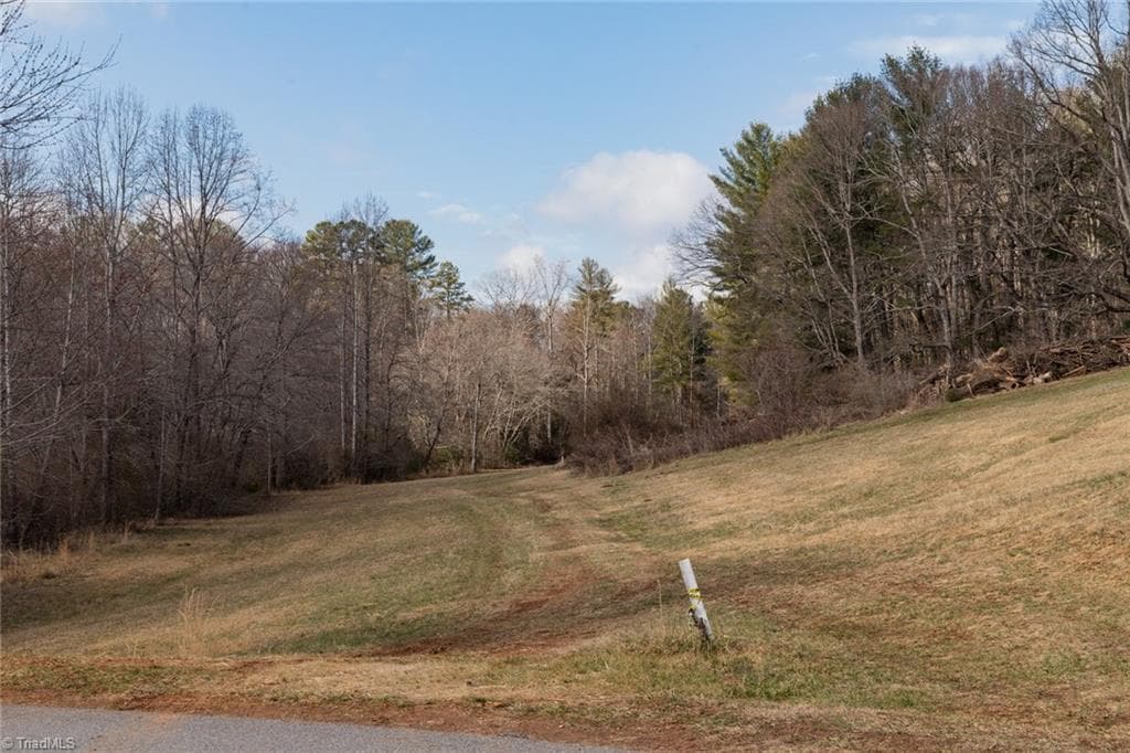 Single Family Residence at Lot 16 Canterbury Drive, North Wilkesboro NC 28659, North Wilkesboro, photo 30 of 45