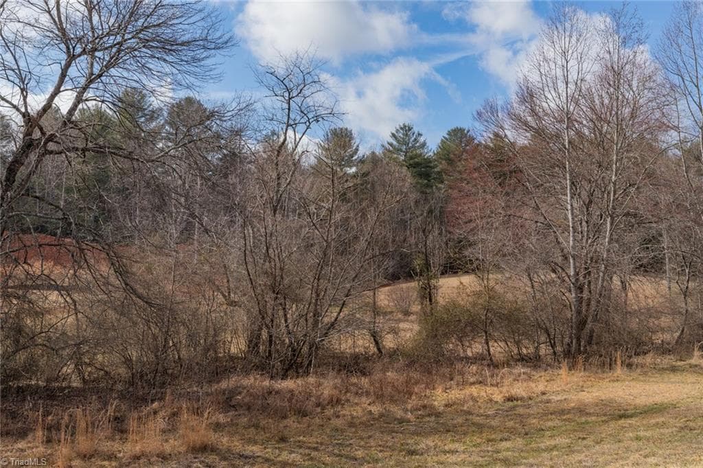 Single Family Residence at Lot 16 Canterbury Drive, North Wilkesboro NC 28659, North Wilkesboro, photo 40 of 45