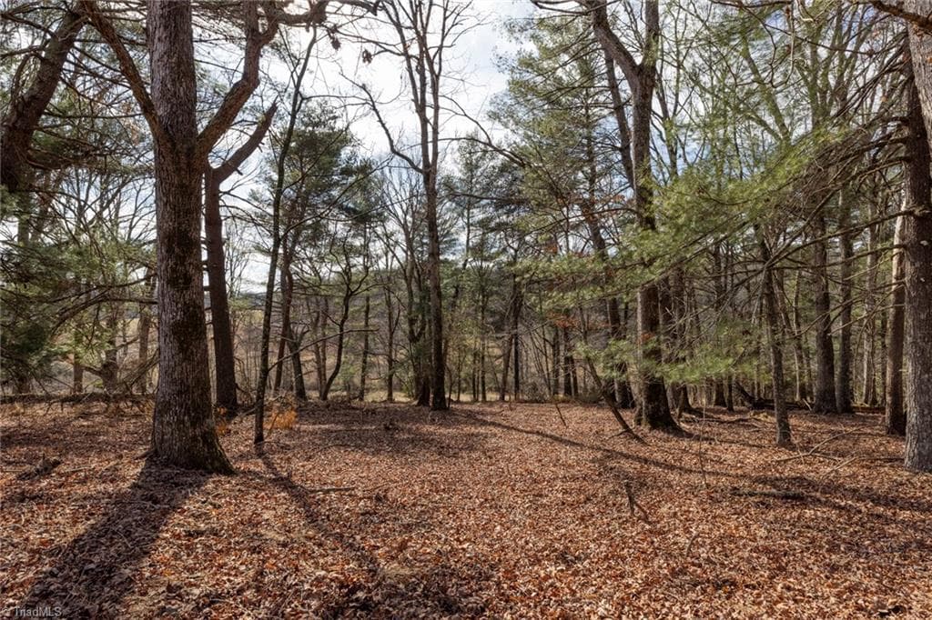 Single Family Residence at Lot 16 Canterbury Drive, North Wilkesboro NC 28659, North Wilkesboro, photo 31 of 45