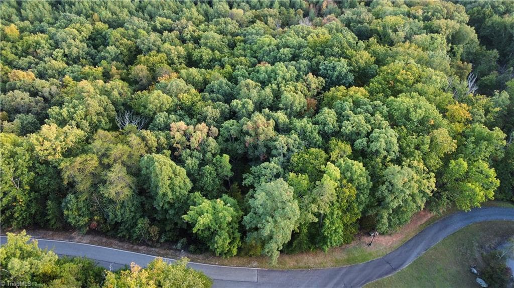 593 Boulder Ridge Drive, Denton NC 27239