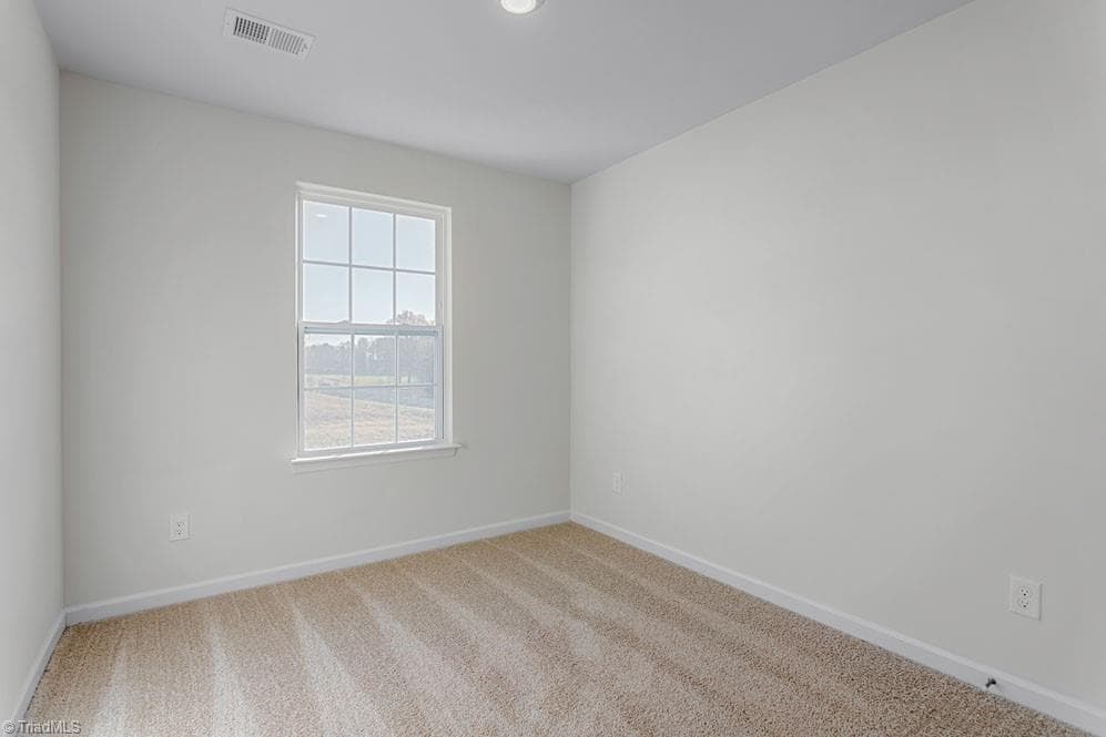 Home model is a representation of it's residential design - 813 Gaelic Drive, Gibsonville NC 27249, Gibsonville
