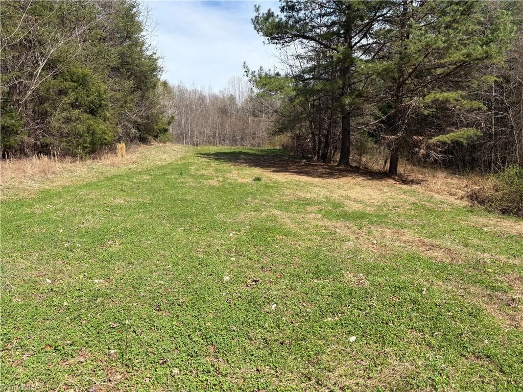 Single Family Residence at 0 Doll Branch Road, Milton NC 27305, photo 19 of 39