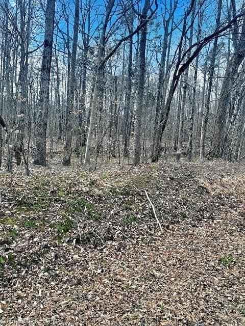 Unimproved Land at 0 Parham Road, Roxboro NC 27574, Roxboro, photo 12 of 12