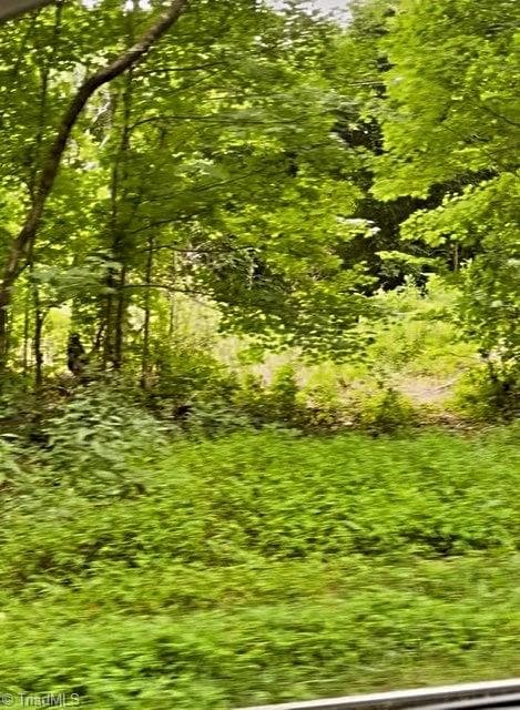 Unimproved Land at 0 Parham Road, Roxboro NC 27574, Roxboro, photo 7 of 12