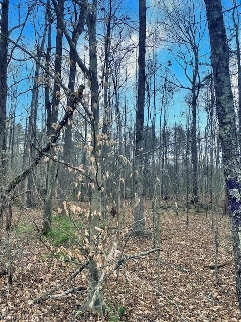 Unimproved Land at 0 Parham Road, Roxboro NC 27574, Roxboro, photo 10 of 12