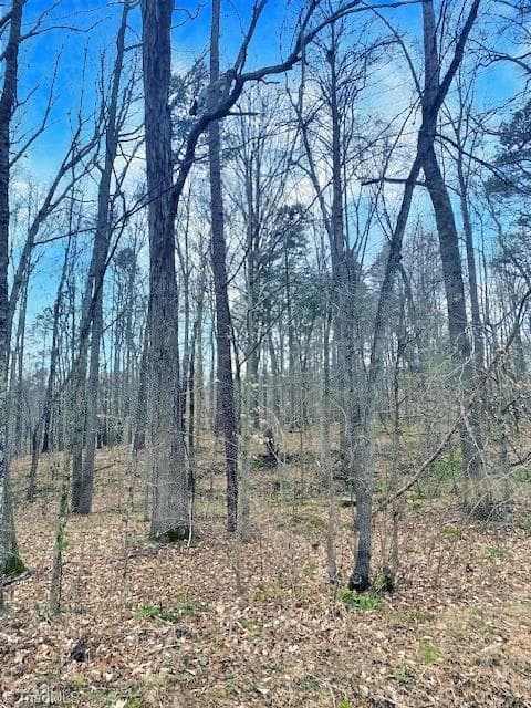 Unimproved Land at 0 Parham Road, Roxboro NC 27574, Roxboro, photo 11 of 12