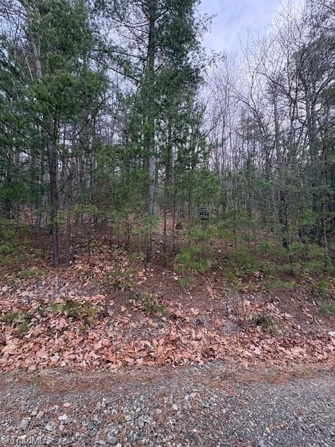Single Family Residence at TBD Sutters Ridge Road, McGrady NC 28649, McGrady, photo 6 of 20