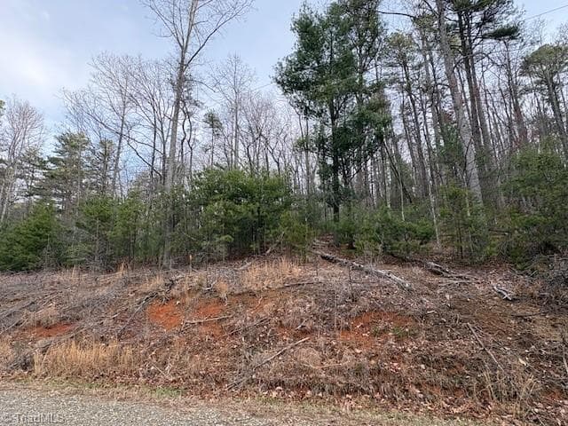 Single Family Residence at TBD Sutters Ridge Road, McGrady NC 28649, McGrady, photo 7 of 20
