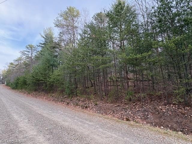 Single Family Residence at TBD Sutters Ridge Road, McGrady NC 28649, McGrady, photo 10 of 20