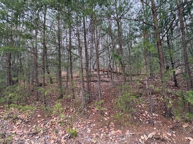 Single Family Residence at TBD Sutters Ridge Road, McGrady NC 28649, McGrady, photo 11 of 20