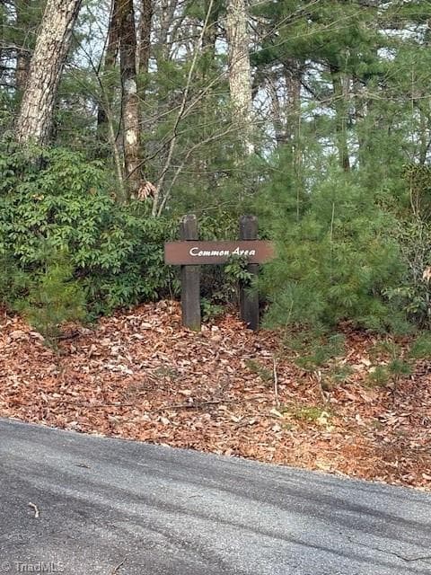 Single Family Residence at TBD Sutters Ridge Road, McGrady NC 28649, McGrady, photo 19 of 20
