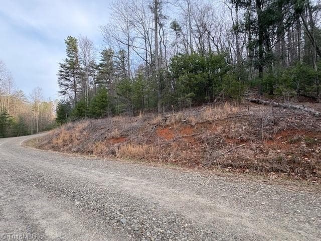 Single Family Residence at TBD Sutters Ridge Road, McGrady NC 28649, McGrady, photo 8 of 20