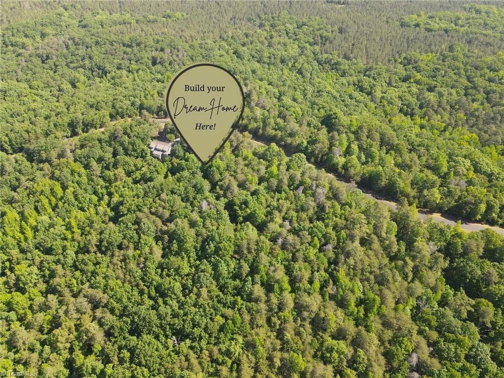 Single Family Residence at 173 Lake View Pass, Rockingham NC 28379, photo 3 of 14