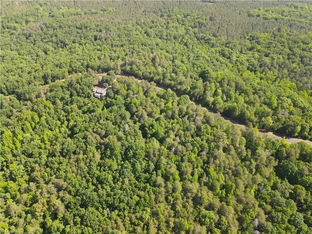 Single Family Residence at 173 Lake View Pass, Rockingham NC 28379, photo 4 of 14
