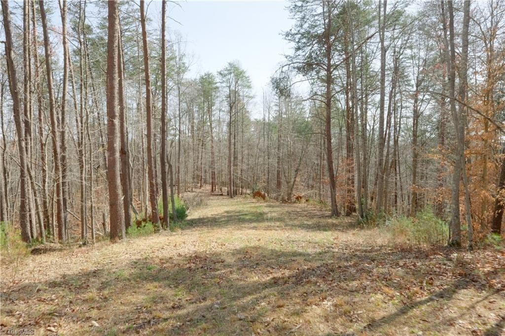 Unimproved Land at 0 Seven Island Road, Danbury NC 27016, photo 2 of 43