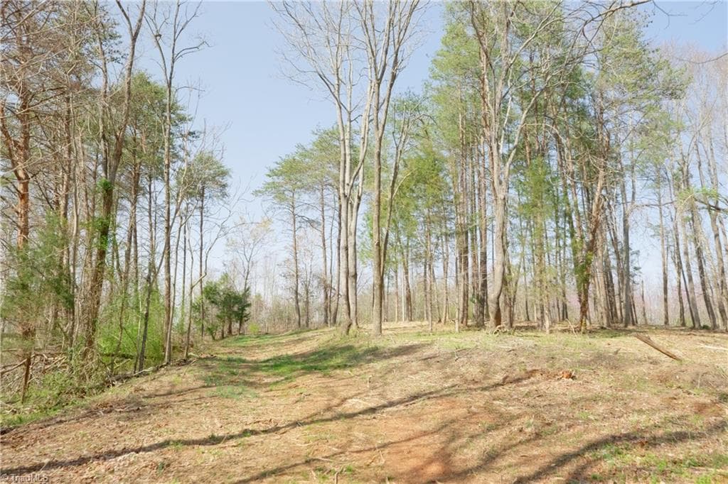 Unimproved Land at 0 Seven Island Road, Danbury NC 27016, photo 13 of 43