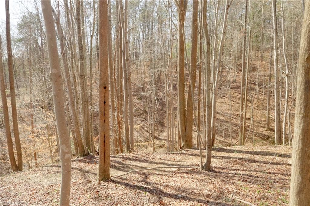 Unimproved Land at 0 Seven Island Road, Danbury NC 27016, photo 16 of 43