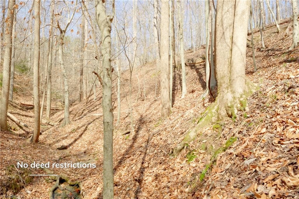 Unimproved Land at 0 Seven Island Road, Danbury NC 27016, photo 7 of 43