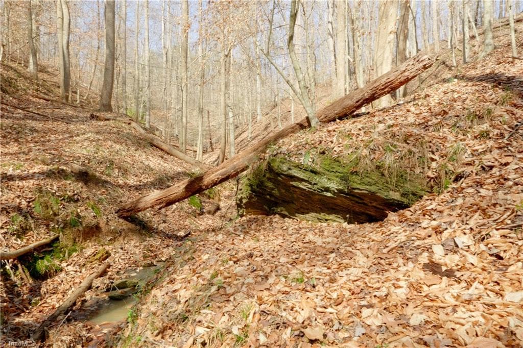 Unimproved Land at 0 Seven Island Road, Danbury NC 27016, photo 5 of 43