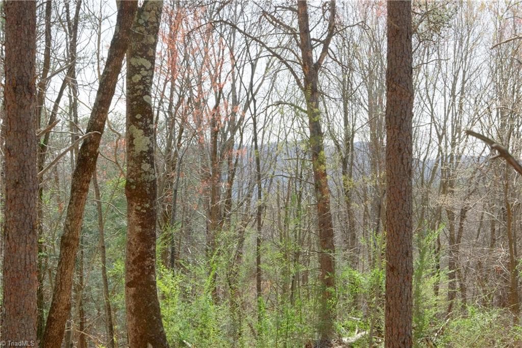 Unimproved Land at 0 Seven Island Road, Danbury NC 27016, photo 20 of 43