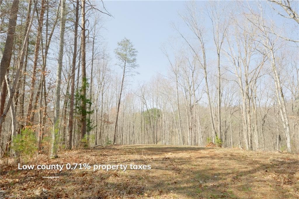 Unimproved Land at 0 Seven Island Road, Danbury NC 27016, photo 9 of 43