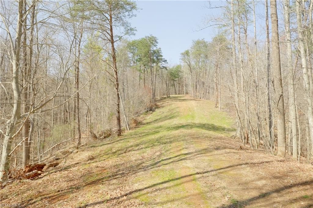 Unimproved Land at 0 Seven Island Road, Danbury NC 27016, photo 10 of 43