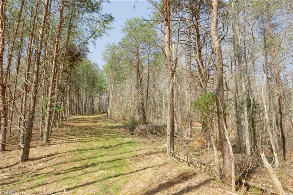 Unimproved Land at 0 Seven Island Road, Danbury NC 27016, photo 14 of 43